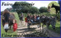 Mercredi découverte de l'âne et de la ferme. Le mercredi 7 novembre 2012 à Crozon. Finistere. 
